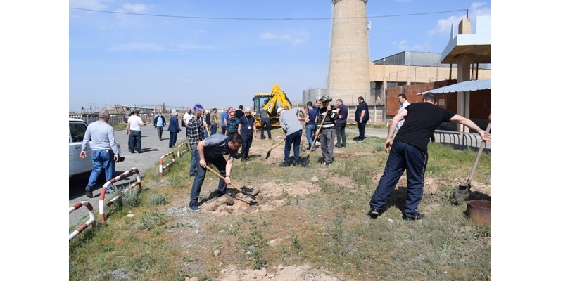 СТАРТОВАЛА ОБЩЕРЕСПУБЛИКАНСКАЯ АКЦИЯ ПО ПОСАДКЕ ДЕРЕВЬЕВ “10 МИЛЛИОНОВ ДЕРЕВЬЕВ”